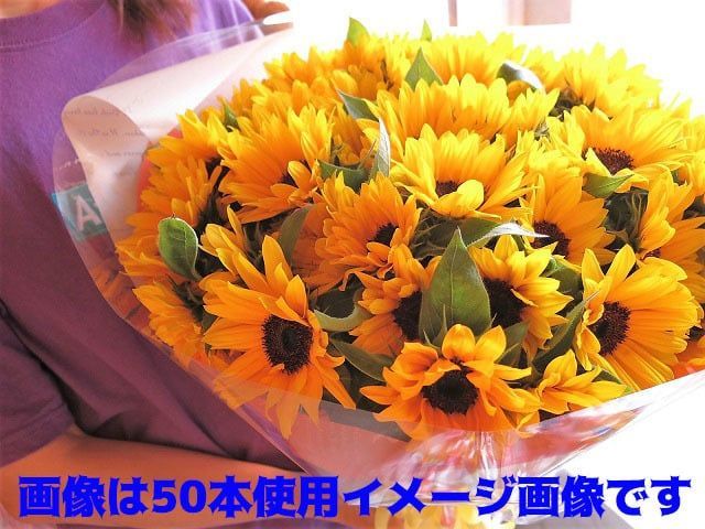 30本使用 品種はおまかせとなります