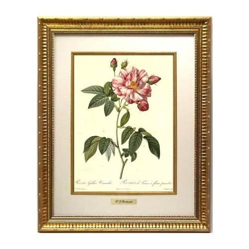 ルドゥーテ 複製画 額縁