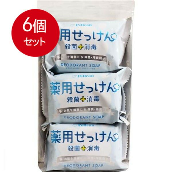 6個まとめ買い 薬用せっけん デオドラントソープ 85g×3個セット 送料