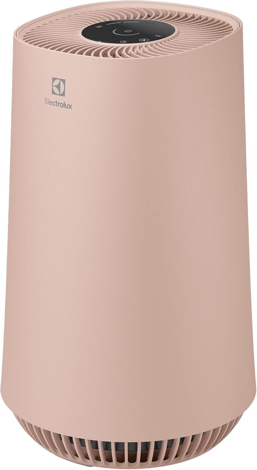 ☆ジモティ割あり☆ エレクトロラックス 空気清浄機 20年製 動作確認