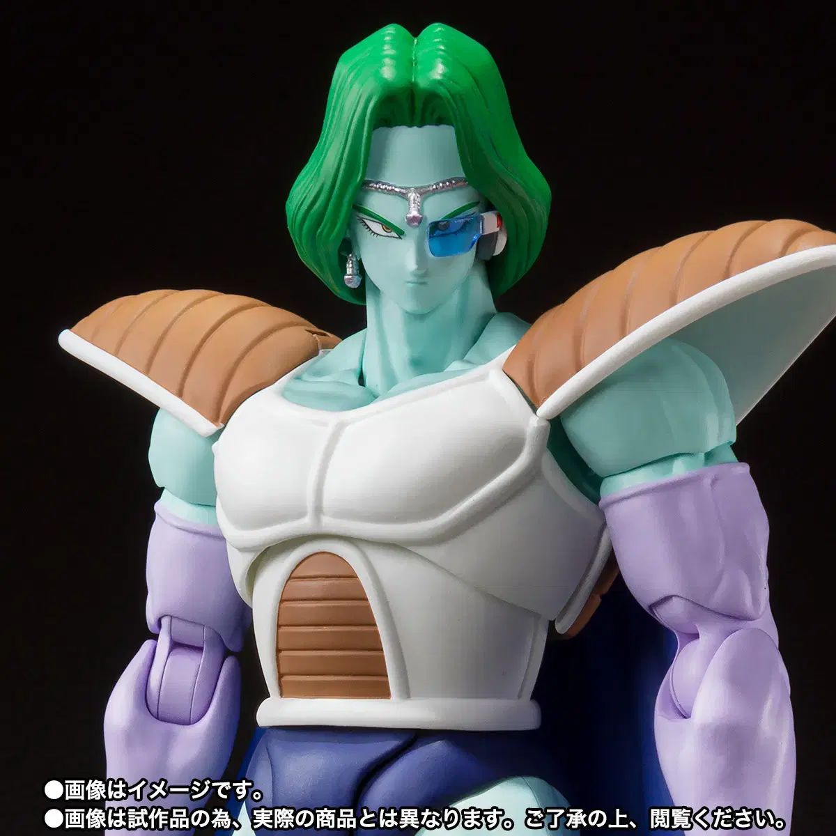 S H Figuarts SHF ドラゴンボール ザボン 靴