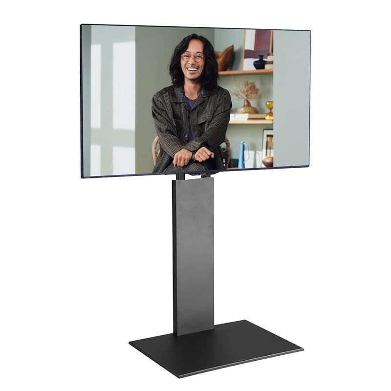 EQUALS イコールズ TVスタンド V2HIGH TYPE EQUALS（イコールズ） テレビ台 WALL テレビスタンド V2 CASTER ハイ