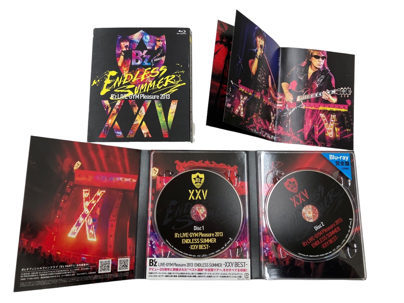 b'z LIVE-GYM Pleasure 2013 ENDLESS SUMMER -XXV BEST- blu-ray 