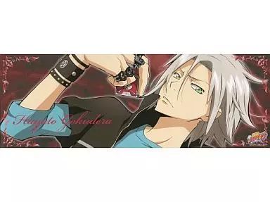 家庭教師ヒットマンREBORN!　キャラポス　ポスター　獄寺隼人 中古】ポスター(アニメ) 獄寺隼人 「家庭教師ヒットマンREBORN