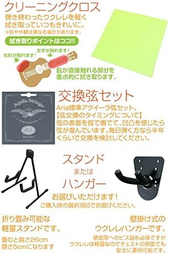 Aria エンドピン付
