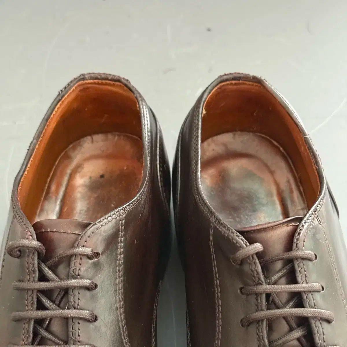 7 5D ALDEN(オールデン) 2210 カラー 8 コードバン NST ダービー