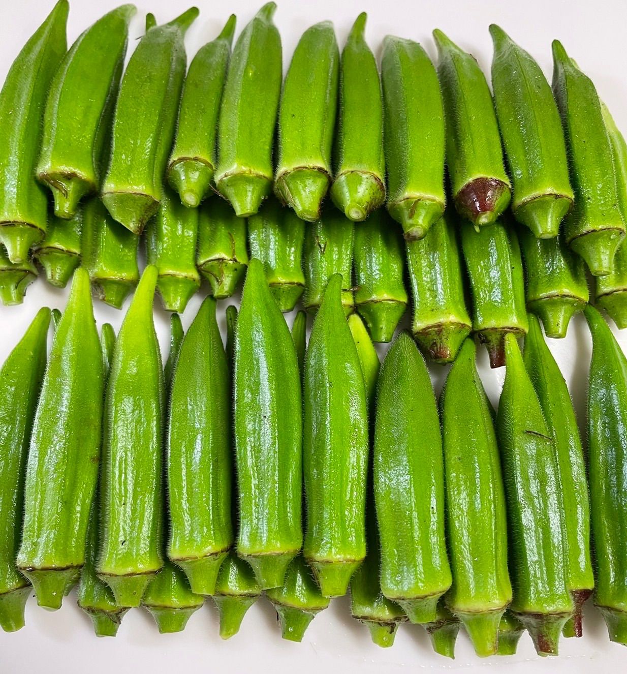 週末限定セール 高知県産 朝採れオクラ 70本以上 コンパクト - メルカリ 