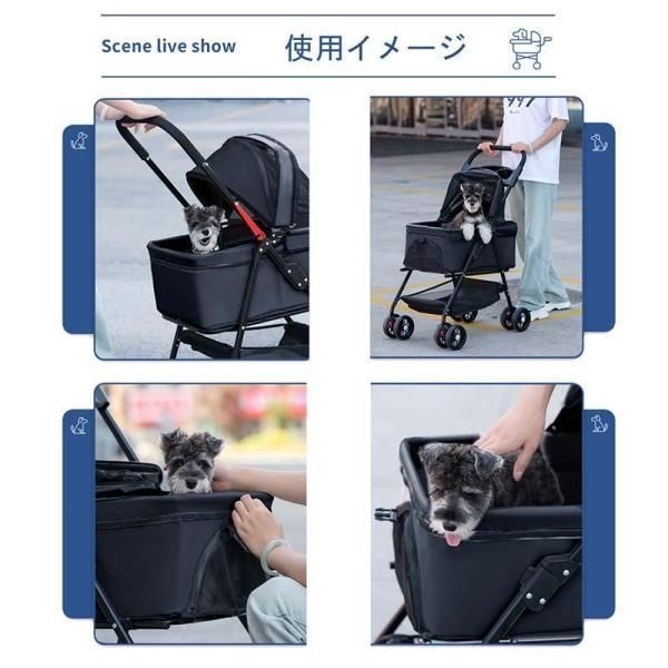 お出かけ