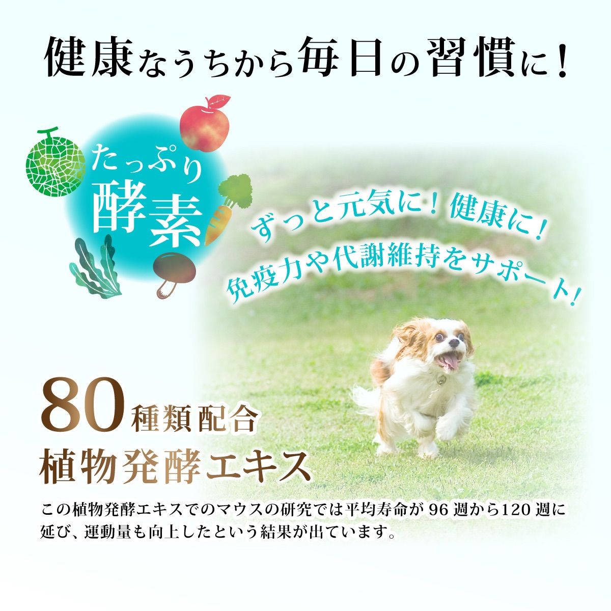 美味しいおやつサプリメント