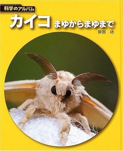 カイコ 新装版: まゆからまゆまで (科学のアルバム虫 12)