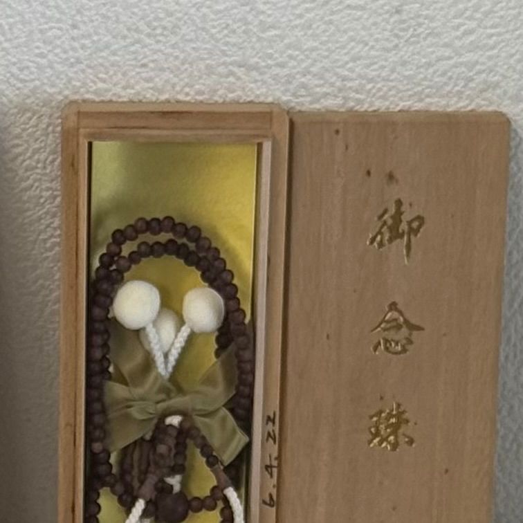 ケース付き エギ王 スクイットマニア 墨族 ティップランナー ティッ