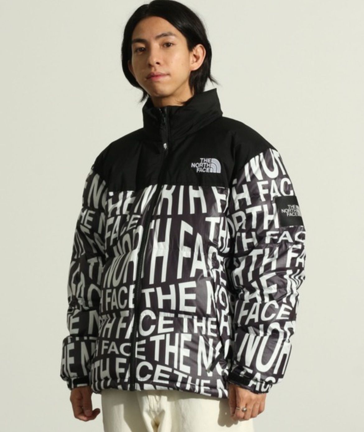 THE NORTH FACE ノベルティ ヌプシ ダウンジャケット シルバー メンズ