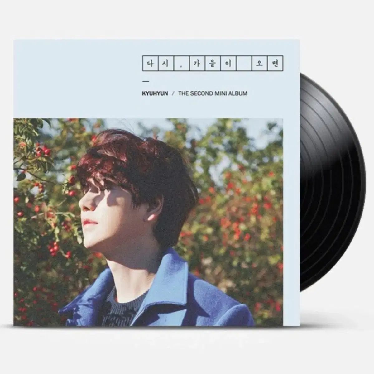 KYUHYUN LP セカンドミニアルバムレコード