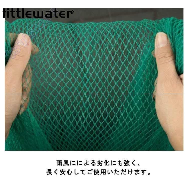 長さ約10m