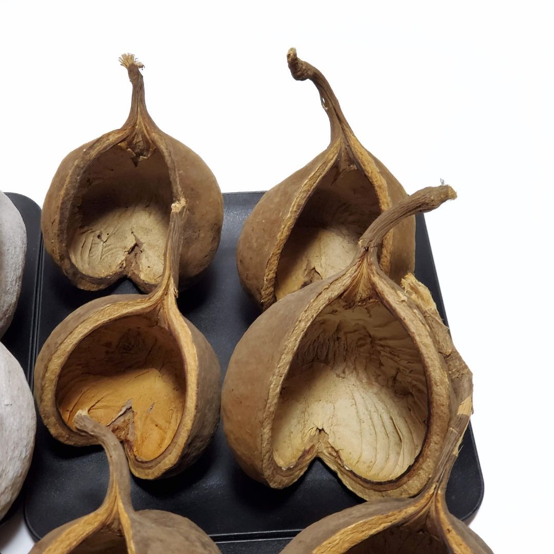 ブッダナッツ 割引有 16個セット L ウォッシュホワイト＆ナチュラル