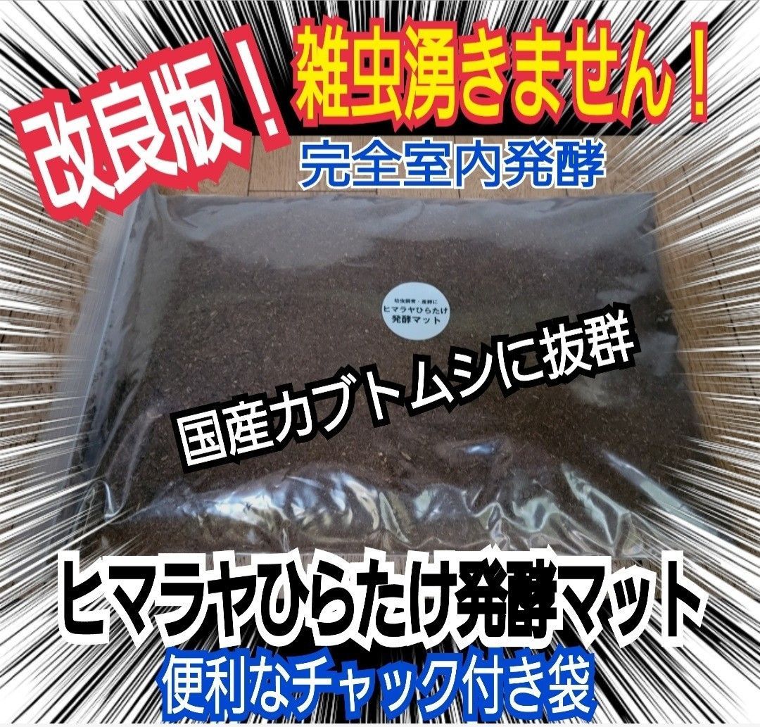 カブトムシ幼虫が大きくなる 改良版 ヒマラヤひらたけ発酵マット【６袋