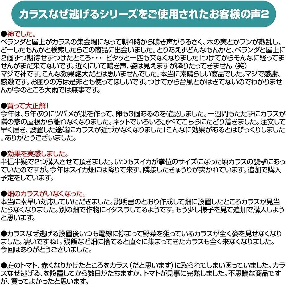 カラス