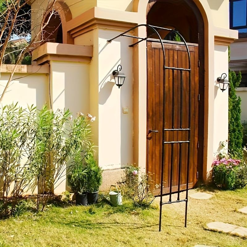 ズッキーニ グレープ