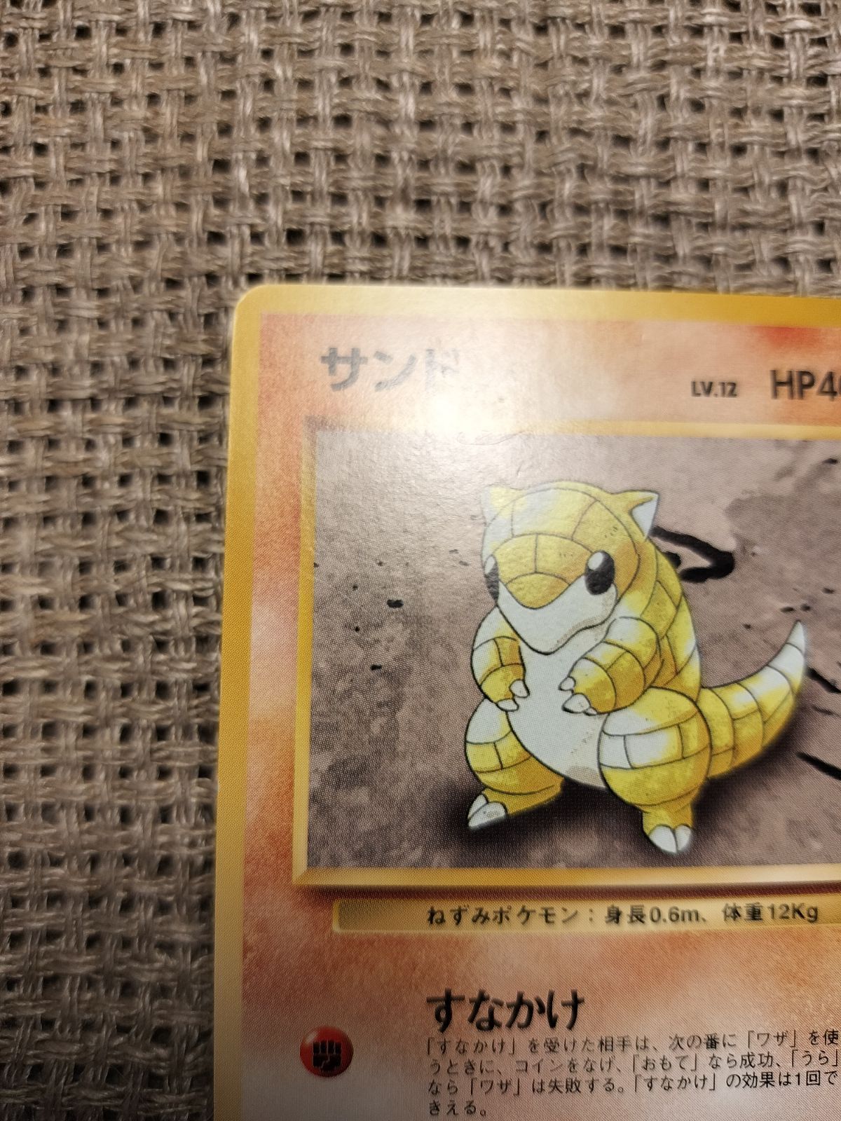 ポケモンカード 旧裏 プロモ トップサン DP等 計52枚 - ポケモン