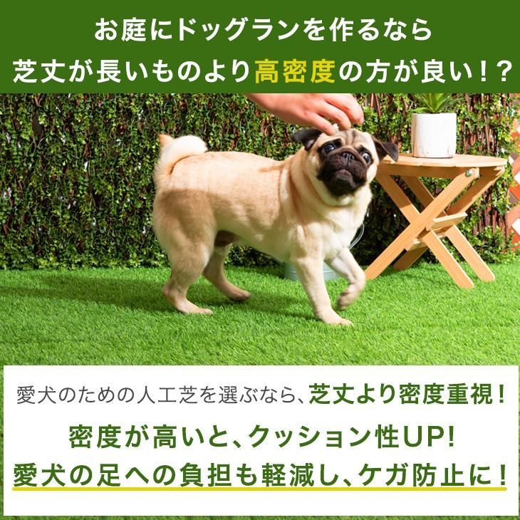 リアル 人工芝生