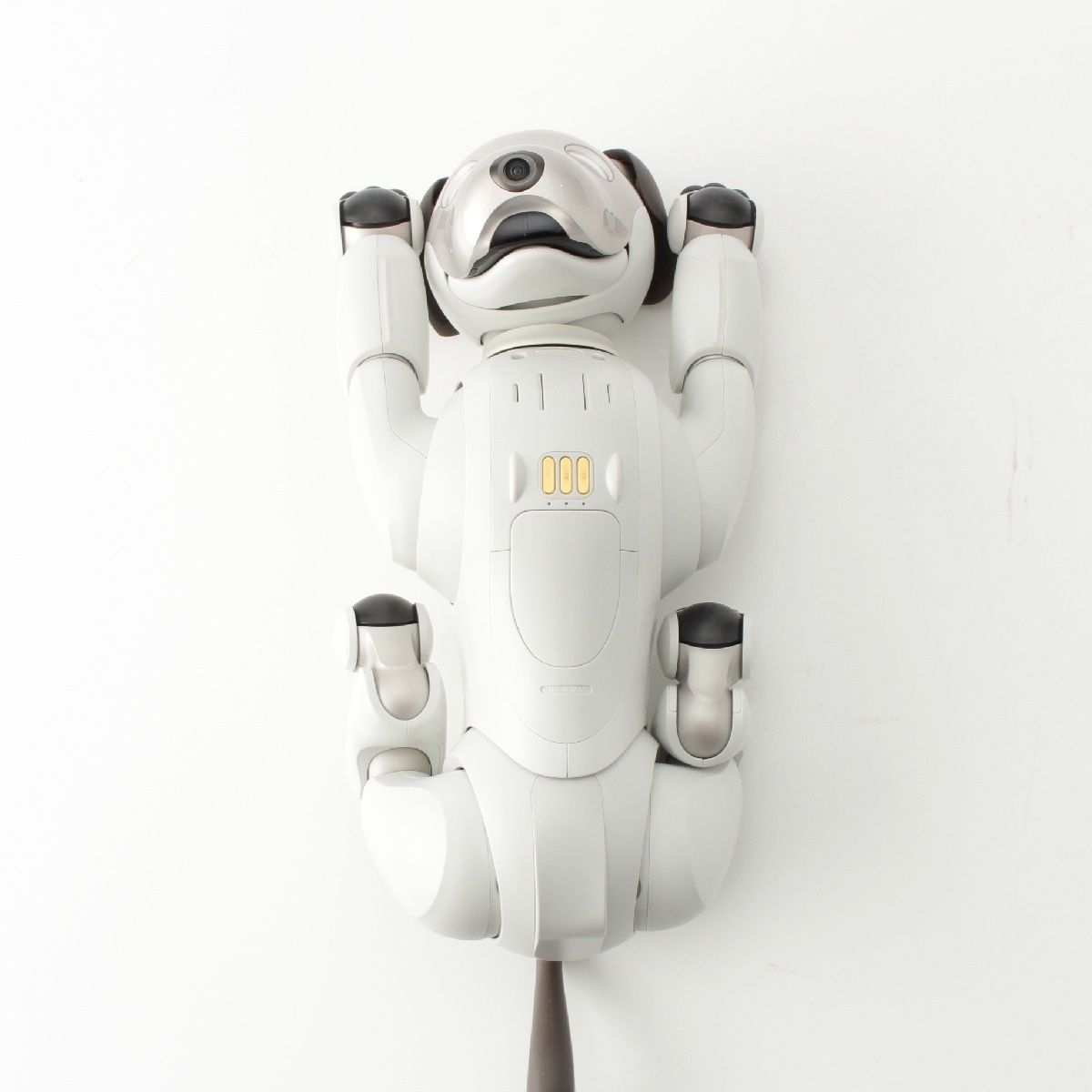 アイボ aibo