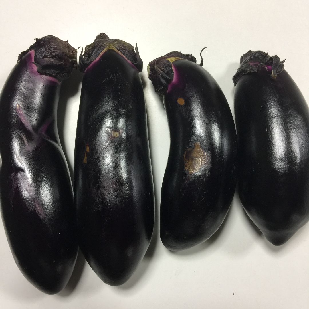☆訳あり 規格外☆朝どり 茄子 なす 20本 60サイズ - メルカリ