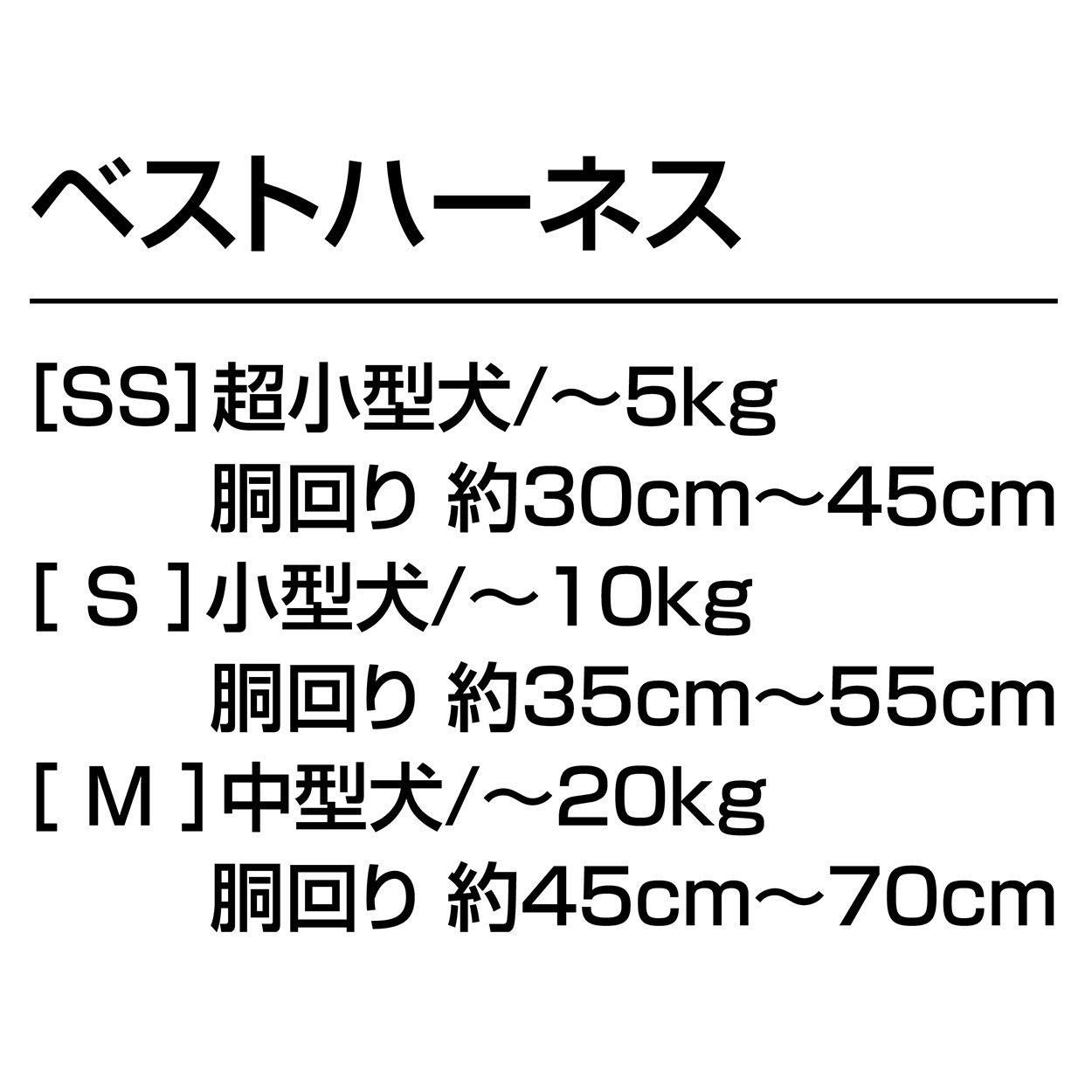 M サイズ