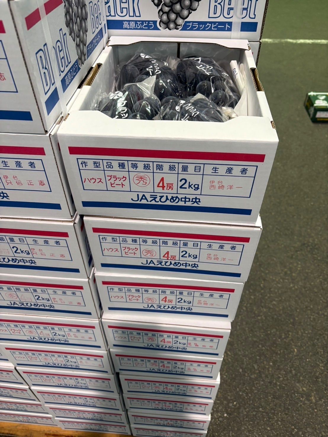 ピオーネ B B シャインマスカット 愛媛葡萄セット