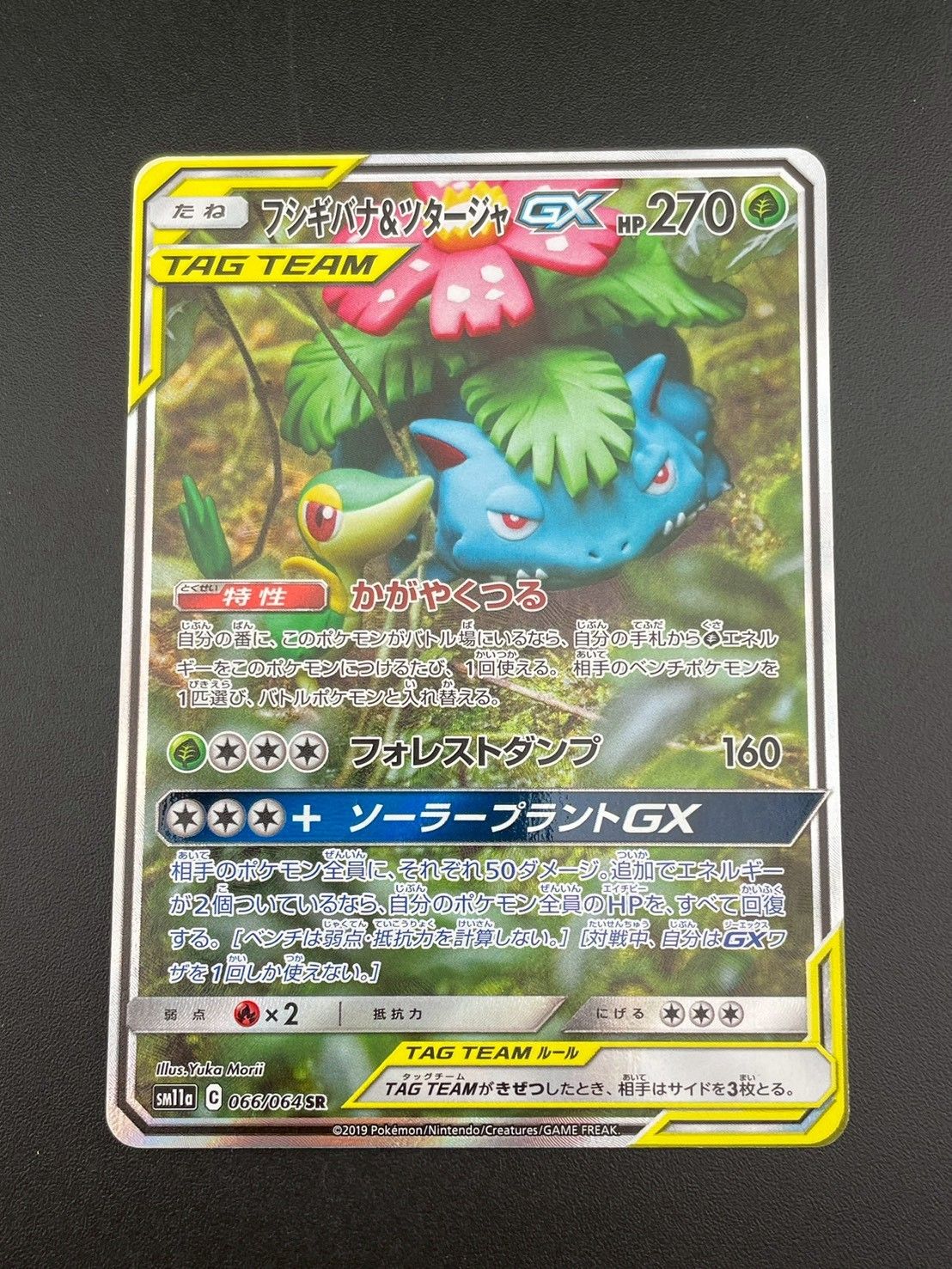 フシギバナ＆ツタージャGX SR SM11a リミックスバウト 066/064 買取】フシギバナ＆ツタージャGX SR [リミックスバウト] SM11a