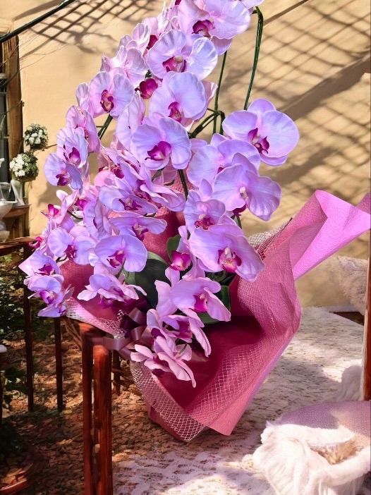 光触媒　人工観葉植物　ウォールグリーン　フェイクグリーン　胡蝶蘭8550 光触媒 人工観葉植物 ウォールグリーン フェイクグリーン 胡蝶蘭8550@@