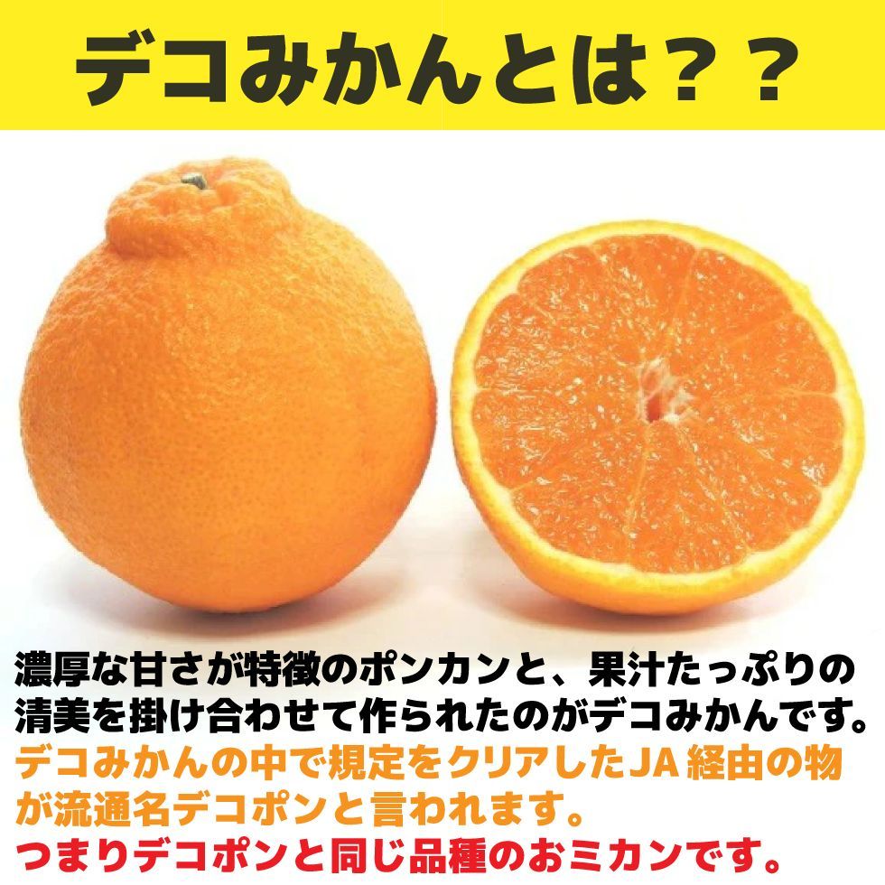 のサムネイル