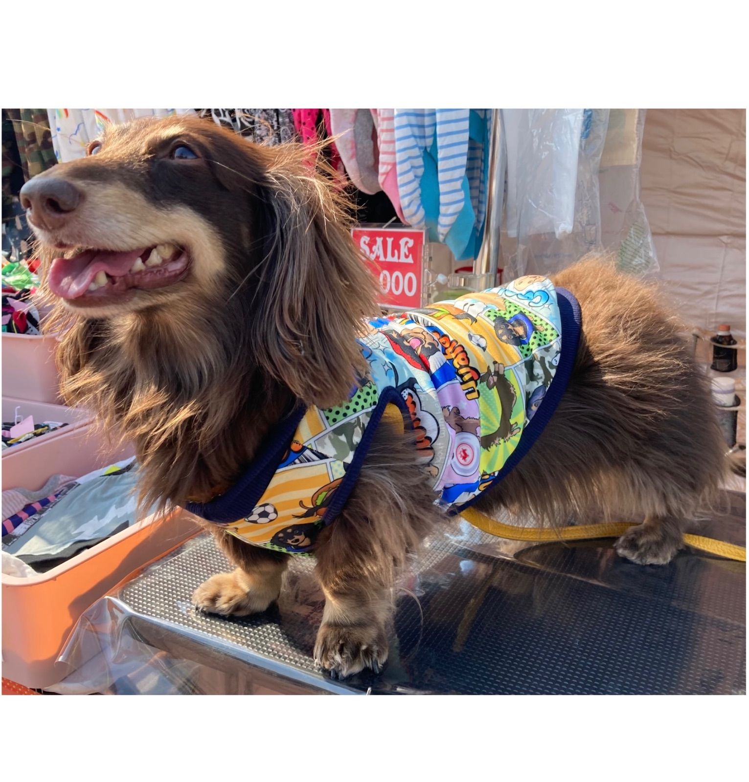 アメコミ風ダックスタンク・ハンドメイド犬服 犬の洋服 ワンコ服 ダックスフント ミニチュアダックス