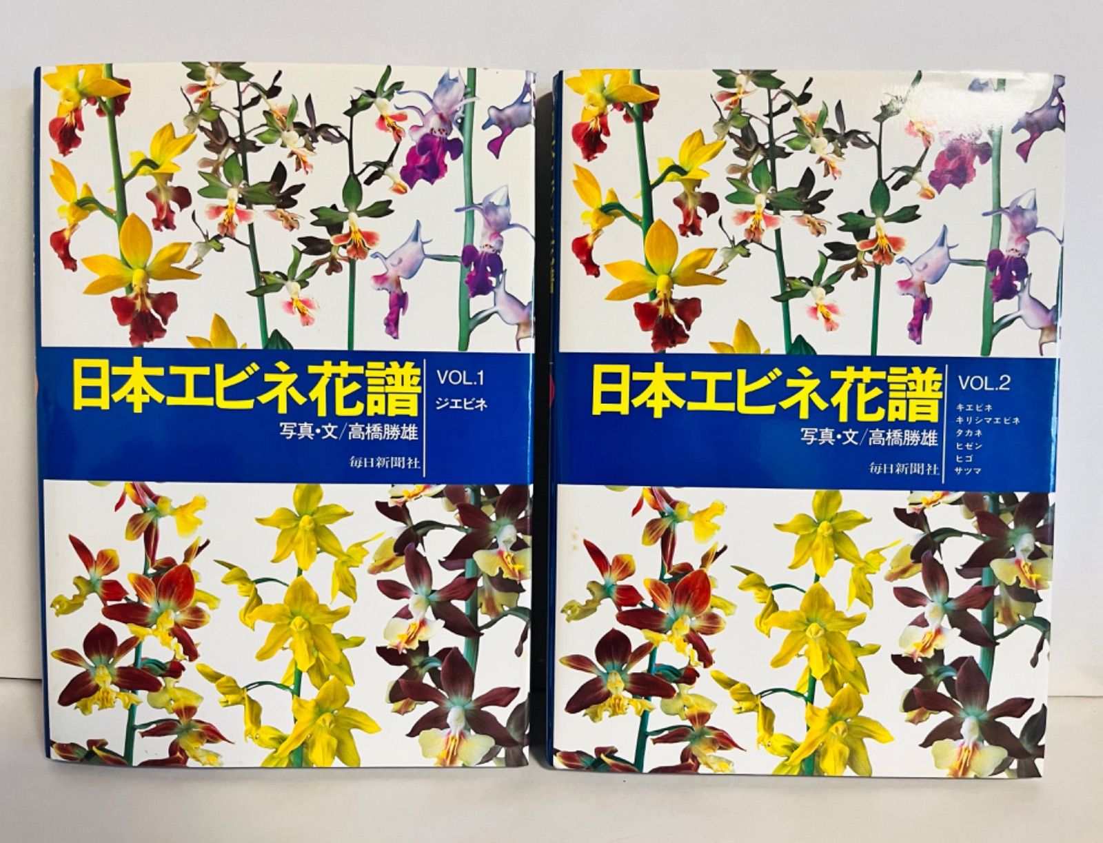 日本エビネ花譜 第1巻 ジエビネ 日本エビネ花譜〈第1巻〉ジエビネ (1984年) | 高橋 勝雄 |本