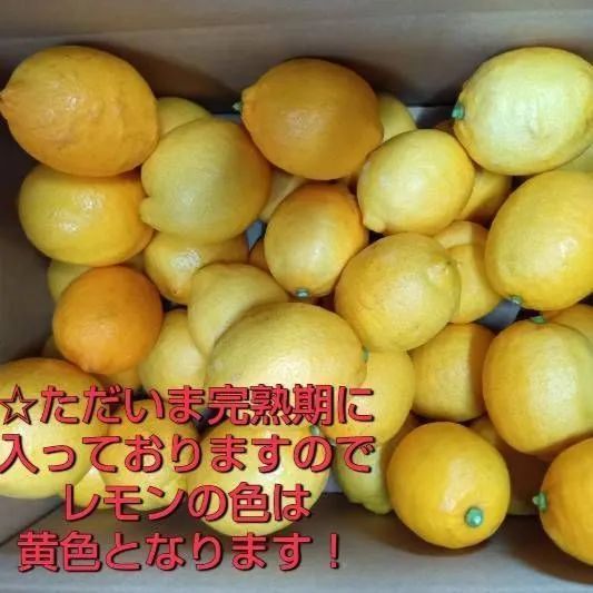 のサムネイル