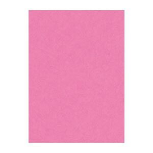 文運堂 ニュー Ｒ 10 242 ももいろ