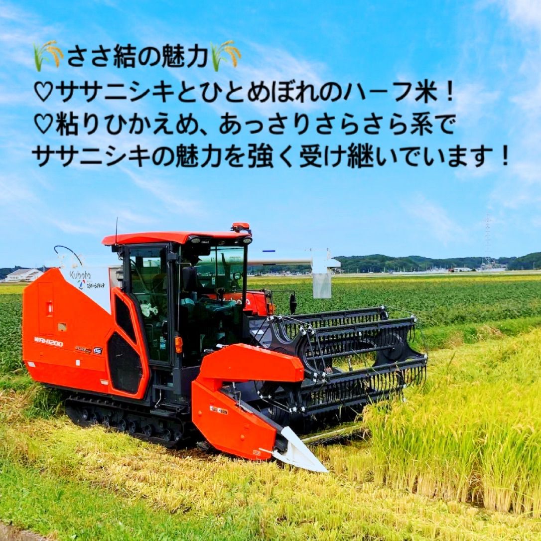 新米