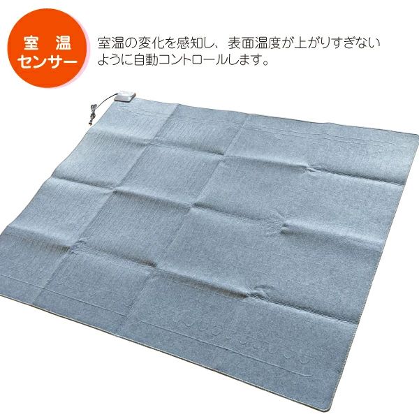 ほかだんカーペット