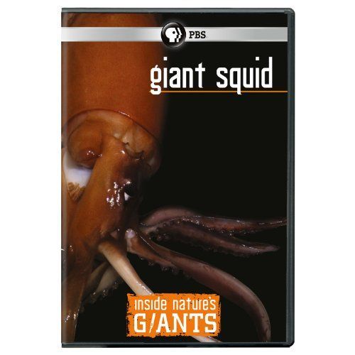 【】Inside Natures Giants: Giant Squid [DVD]