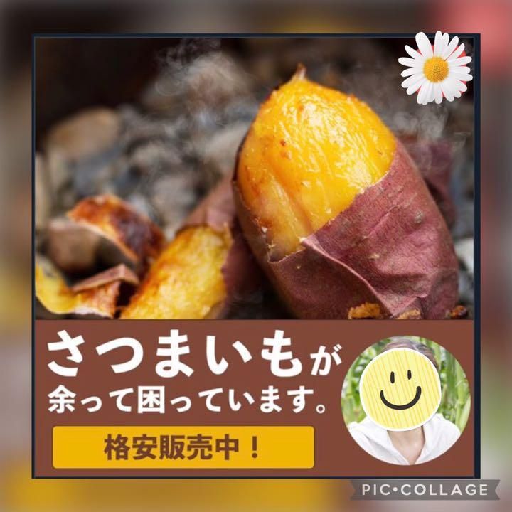 のサムネイル