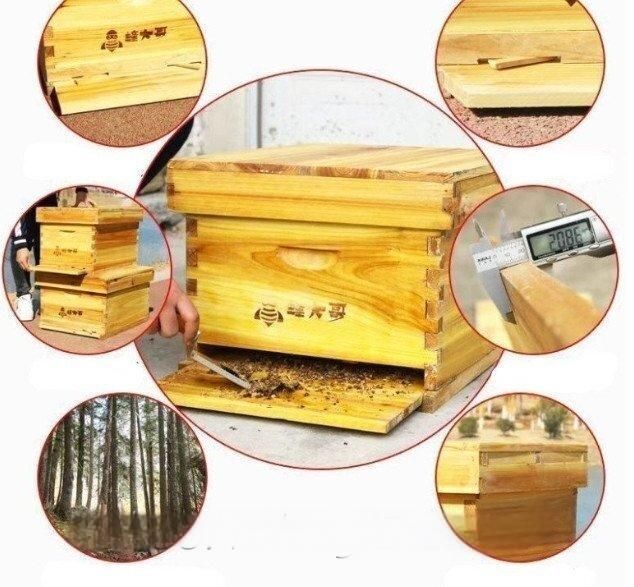 ミツバチ巣箱セット 養蜂 巣箱 キット 5フレーム ミツバチの巣箱 蜜蜂養蜂箱 木製の 蜜蜂の巣箱セット 養蜂器具 防水 防湿 ZYP33特別価格