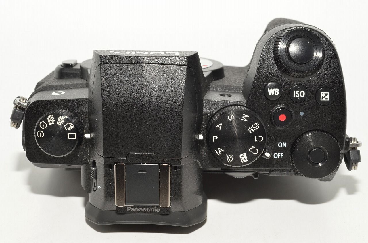Panasonic LUMIX G99 ボディ 【公式通販】