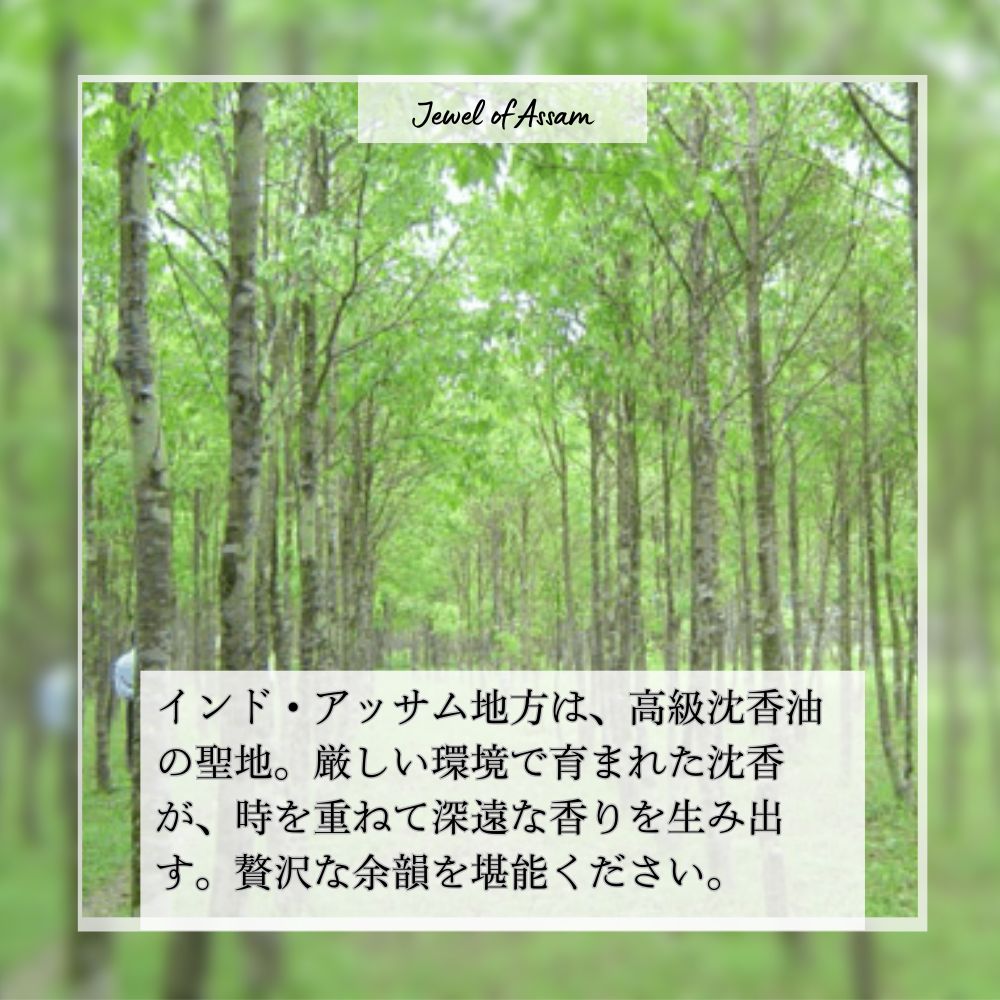 アッサム地方