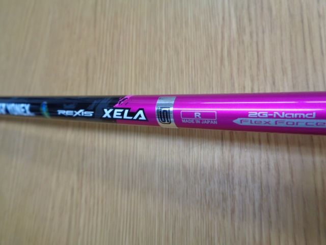 2025|REXIS XELA