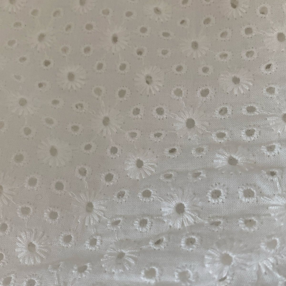 白 クルーネック|レース|フリル