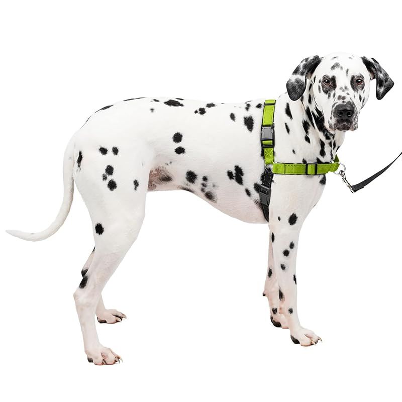 PetSafe ペットセーフ 犬用 ハーネス デラックスイージーウォークハーネス L アップルグリーン|ブラック 引っ張り防止 散歩 トレーニング 1