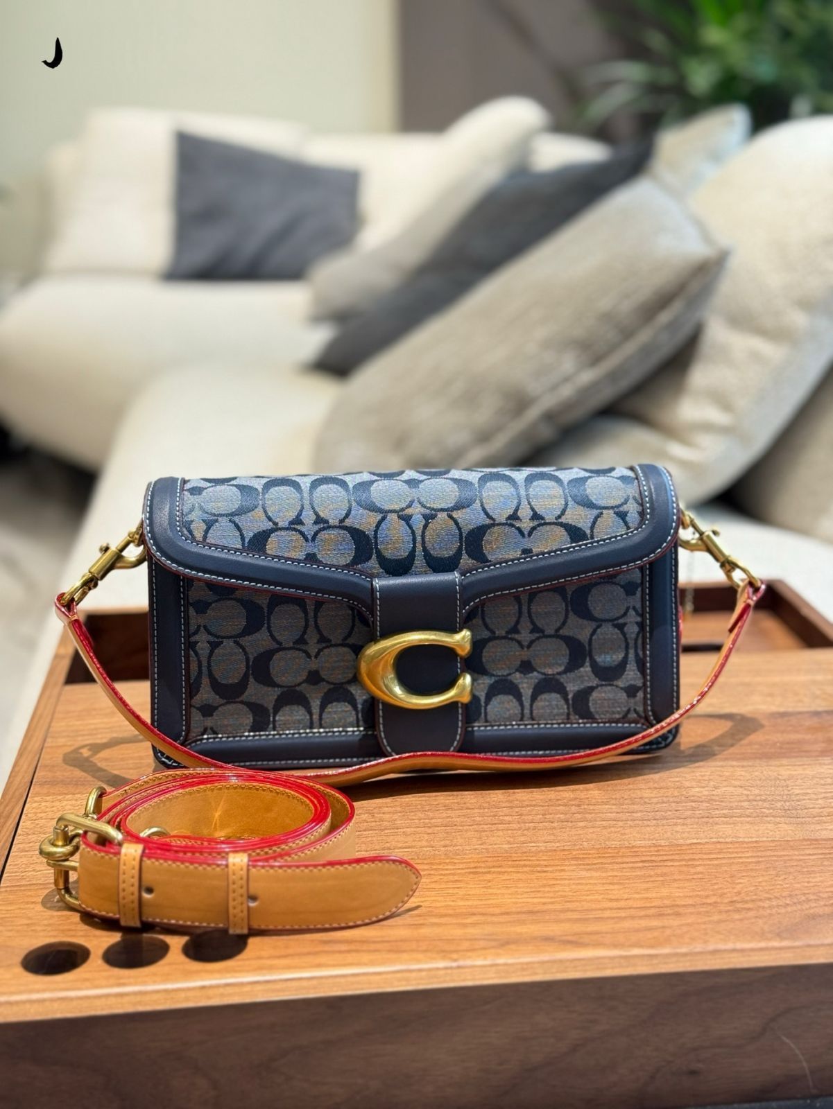 今日 COACH Tabby シャンブレー ディオニーサスバッグ コーチ タビー シャンブレー ディオニーサスバッグ-MM輸入2