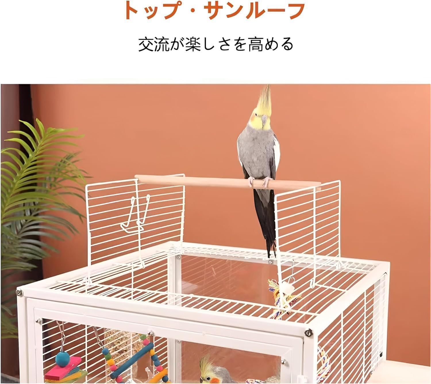 バードケージ 鳥カゴ 鳥小屋 複数飼い 46*46*77cm 止まり木 おもちゃ エサ入れ お手入れ簡単 大型 鳥籠 専用スタンド付き 鳥巣 角屋根  バードゲージ 多頭 - 美しい