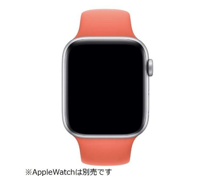 アップル 純正 ウォッチ交換バンド 44mm Apple Watch - メルカリ