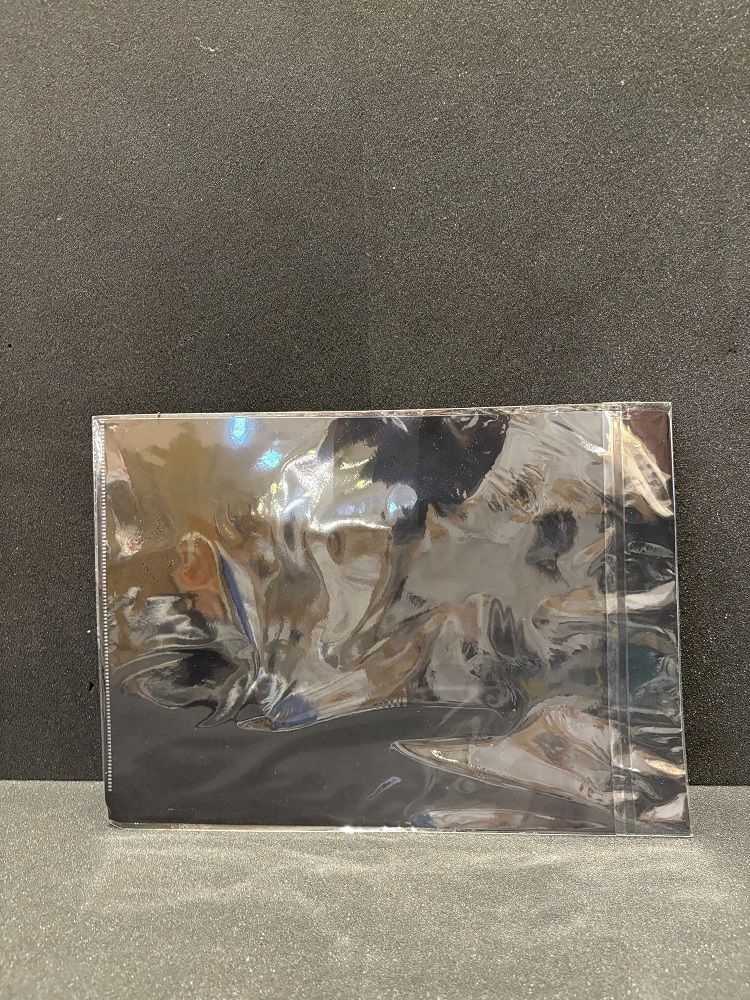 COUNTDOWN JAPAN 2324 ブランデー戦記 直筆サイン入りクリアファイル CDJ2324