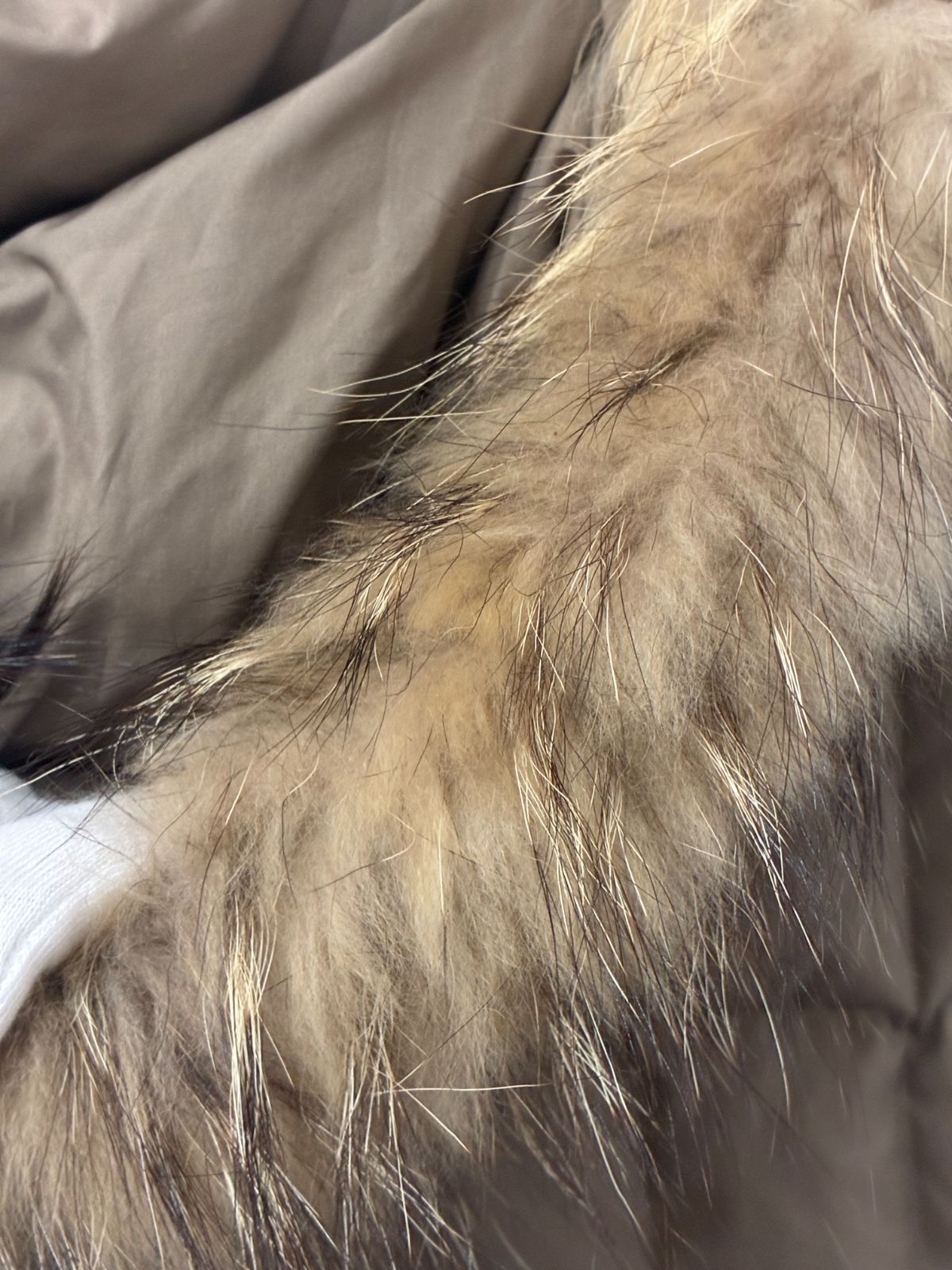 エムシーエム アウター